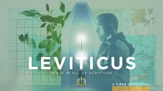 Leviticus: Living in God's Holy Presence | Video Devotional