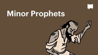 BibleProject | Minor Prophets