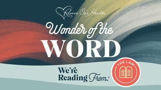 Wonder of the Word: The Law & the Wonder of God's Grace (Vol.1 - Genesis - Deuteronomy)