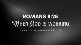 ROMANS 8:28 (God Is Working)