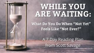 While You Are Waiting: What Do You Do When "Not Yet" Feels Like "Not Ever?"