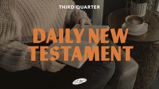 Daily New Testament - Quarter 3