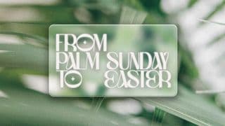 From Palm Sunday to Easter