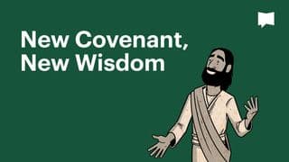 BibleProject | New Covenant, New Wisdom