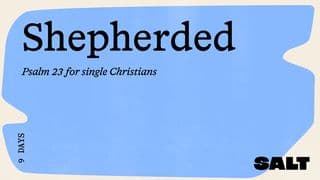 Shepherded: Psalm 23 for the Single Christian