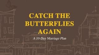 Catch the Butterflies Again