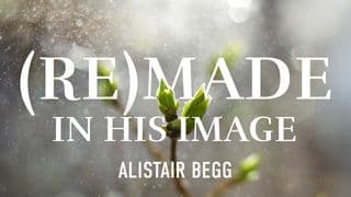 (Re)made in His Image