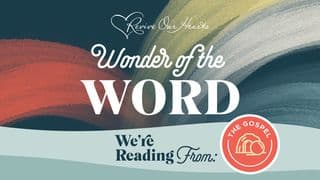 Wonder of the Word: The Gospel & the Wonder of God's Love (Vol.5 - Matthew - Acts)