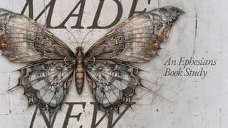 Made New: An Ephesians Book Study