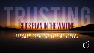 Trusting God's Plan in the Waiting: Lessons From the Life of Joseph