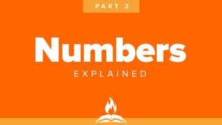 Numbers Explained | Failure to Launch