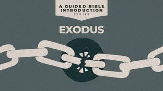 Exodus: A Guided Bible Introduction