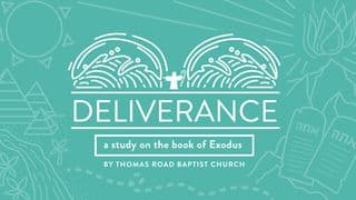 Deliverance: A Study In Exodus