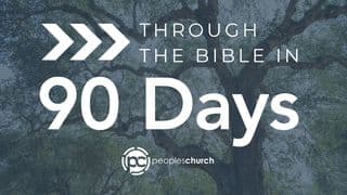 Through the Bible in 90 Days!