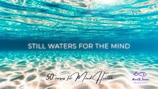 Still Waters for the Mind