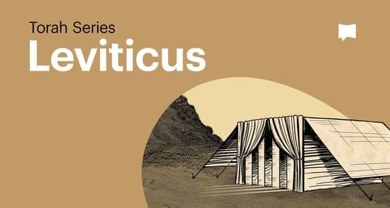 Leviticus: Torah Series