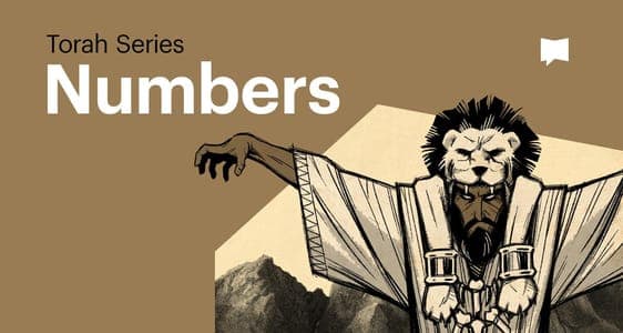 Numbers: Torah Series