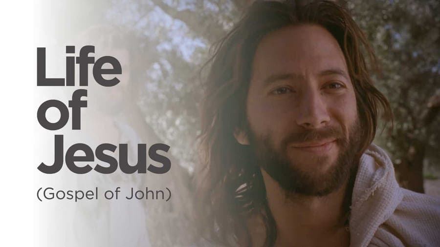 Life of Jesus (Gospel of John)