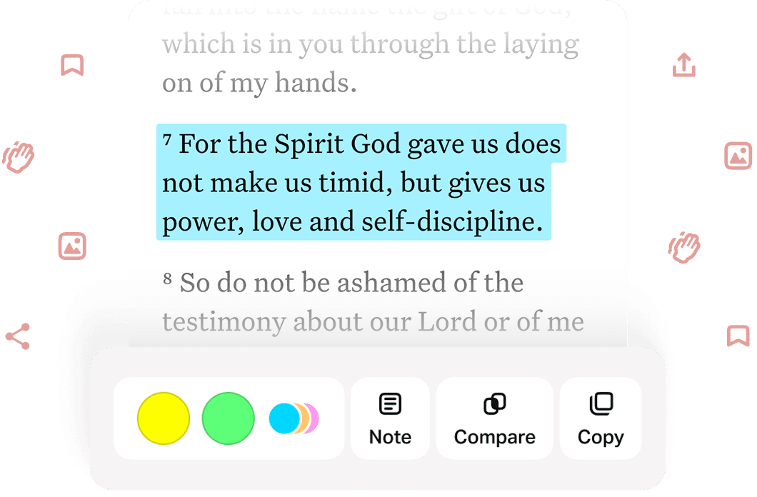 Highlights, Notes, Compare Versions